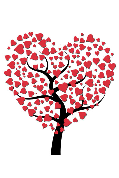 树心图片下载