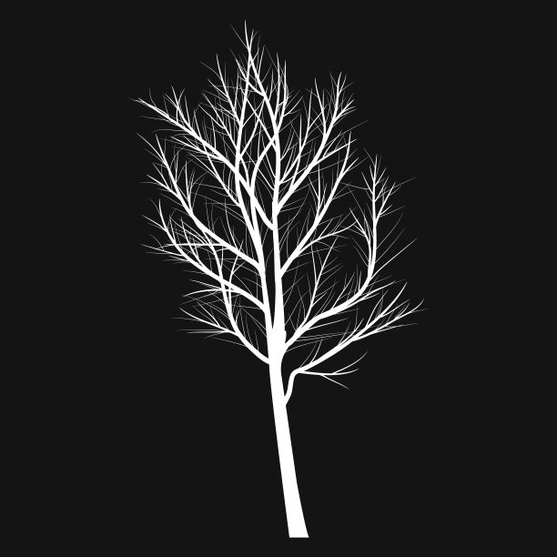 枯枝的树图片下载