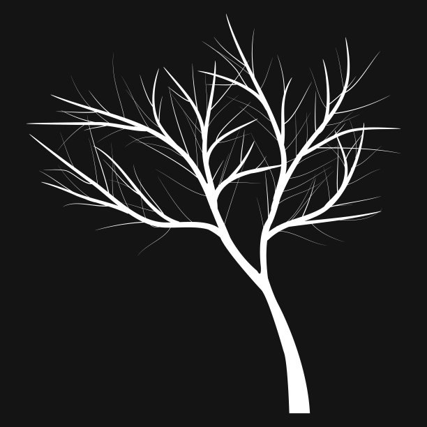 枯枝的树图片下载