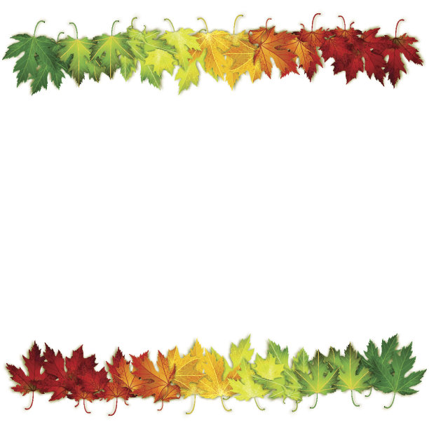 矢量背景装饰着五颜六色的秋叶、卡片、横幅图片下载