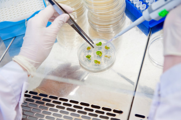 植物遗传研究图片下载