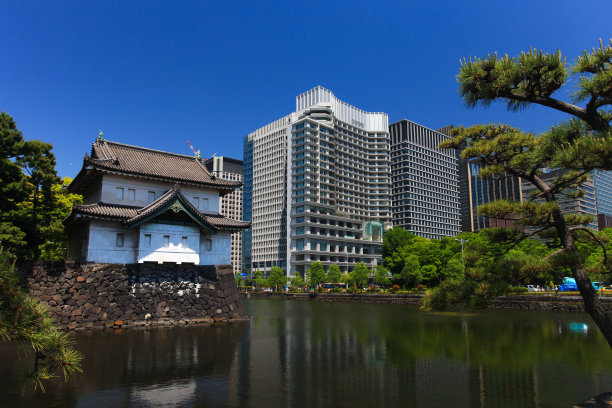 东京白天的天际线图片下载