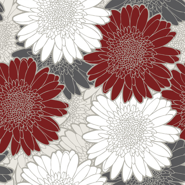 无缝图案与花菊花图片下载