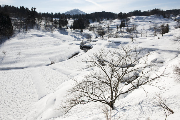 雪国01图片下载