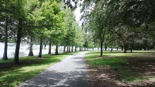 大自然的宁静图片下载