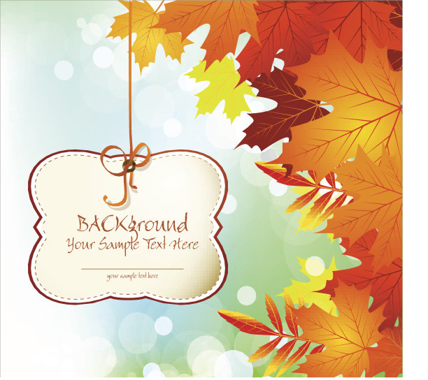 秋日的喜庆背景是树叶和蓝天图片下载