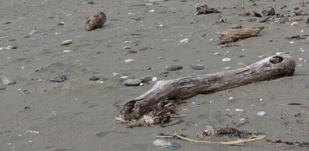 对环境的破坏。图片下载