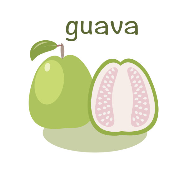 番石榴图标在平坦的风格。孤立的对象。番石榴异国情调的水果。图片下载