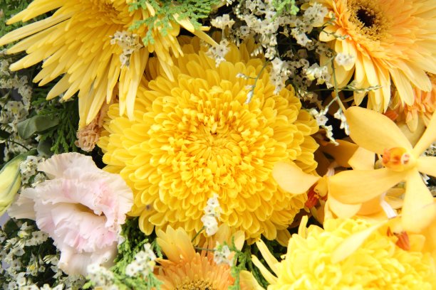黄花装饰在婚礼上图片下载