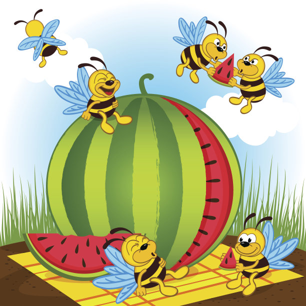 蜜蜂和西瓜图片下载