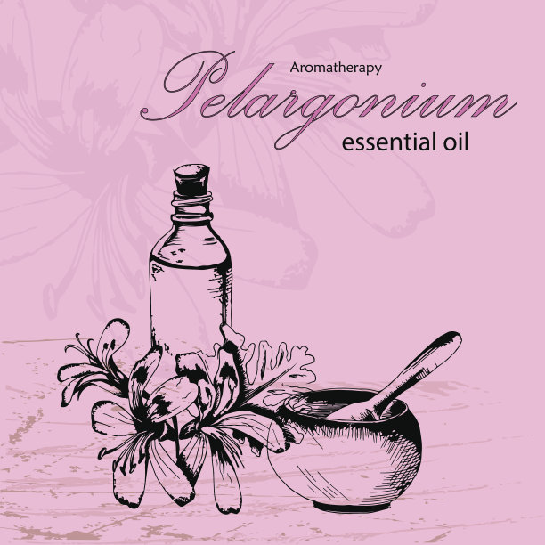 天竺葵挥发油载体图解图片下载