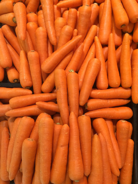 胡萝卜蔬菜富含维生素和钙，有益健康图片下载