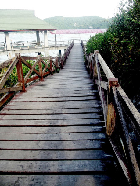 的路上图片下载