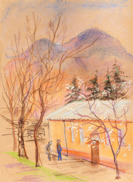 盛开的棕榈树图片下载