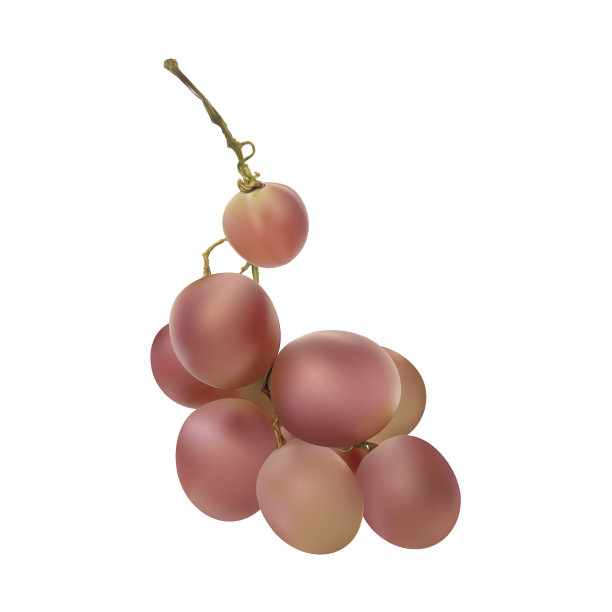 发光的成熟的红葡萄浆果图片下载