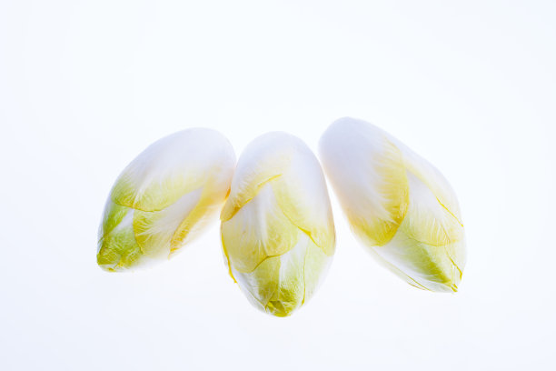 白色背景上分离出一些新鲜菊苣图片下载