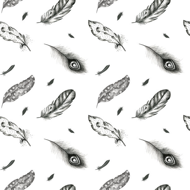 复古无缝图形图案手绘羽毛。Flyi图片下载