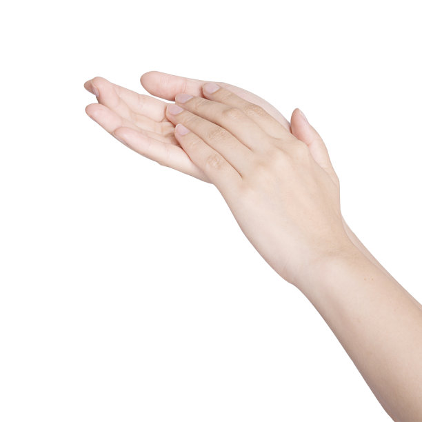 手孤立图片下载