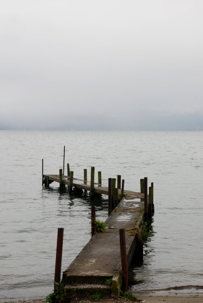 悲观的春天图片下载