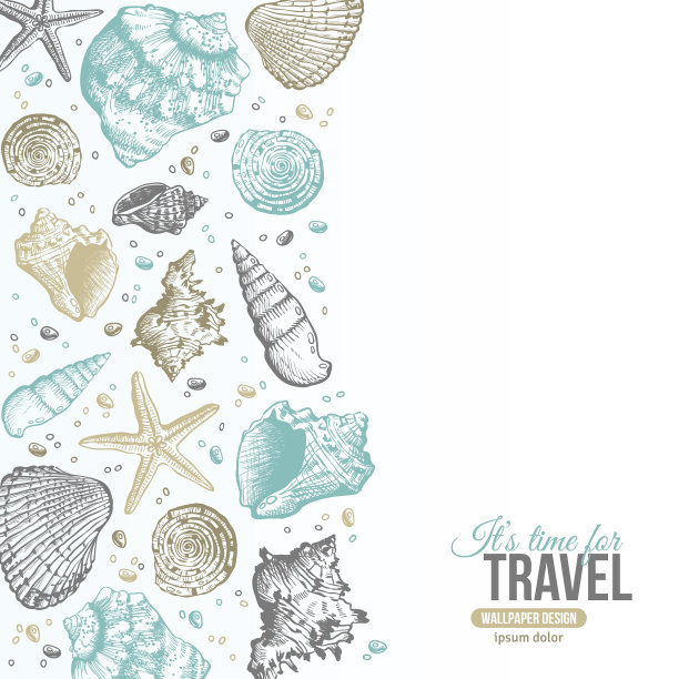 夏日贝壳明信片设计。素材图片