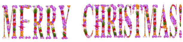 “圣诞快乐”是用花写在丁香上的字母图片下载