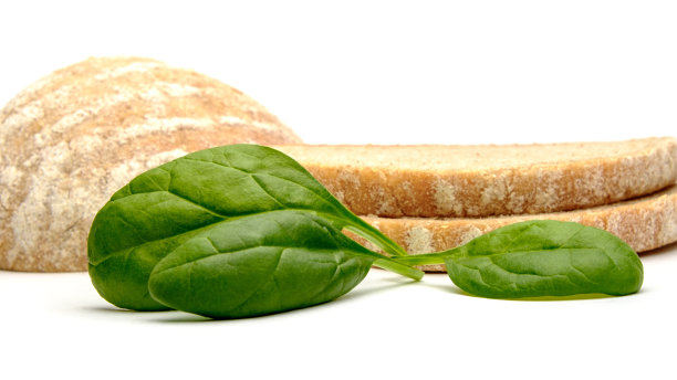 面包和菠菜图片下载