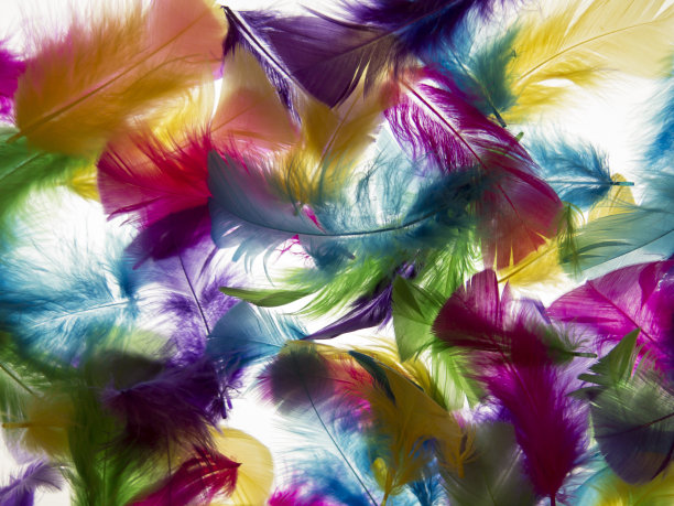 背景光羽毛图片下载