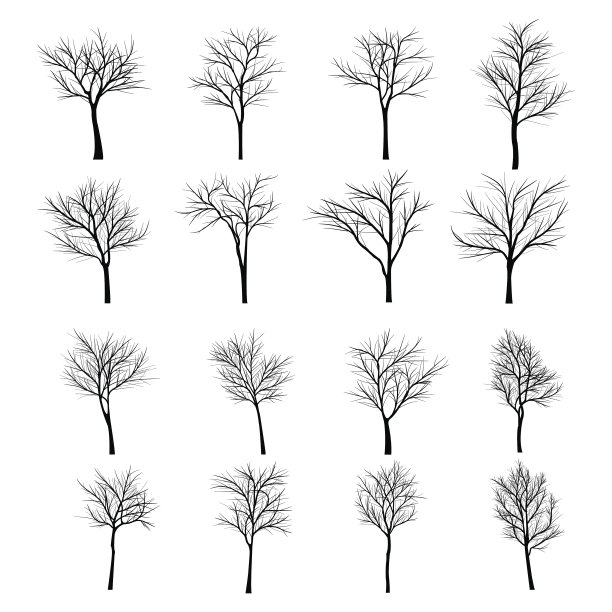 枯枝的树图片下载