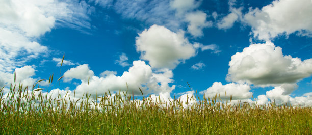 田野和多云的天空图片下载