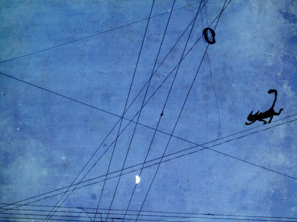 一只黑猫在电线上跑图片下载