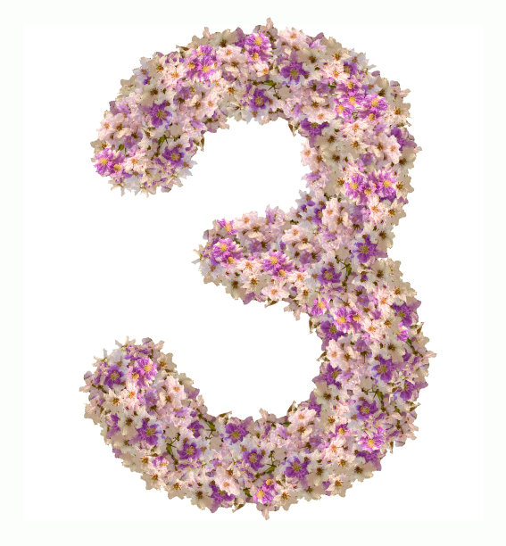 由孤立的花组成的数目图片下载