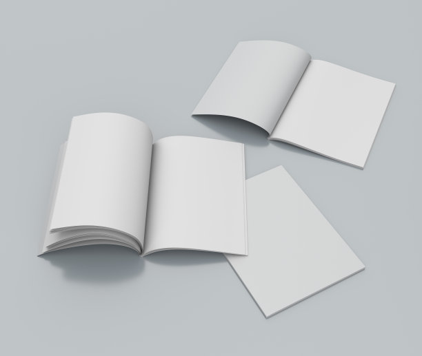 标准尺寸的目录或杂志图片下载