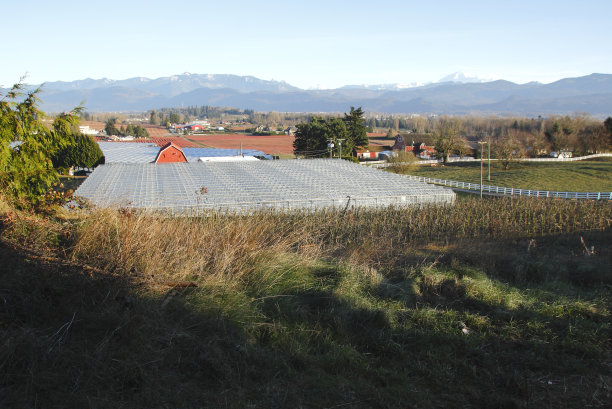 工业和传统食品生产图片下载