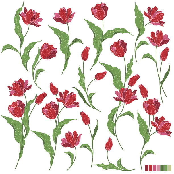 花说明对象图片下载