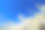 花园里的树在天空背景上开花。图片下载
