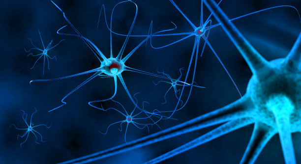 神经元图片下载
