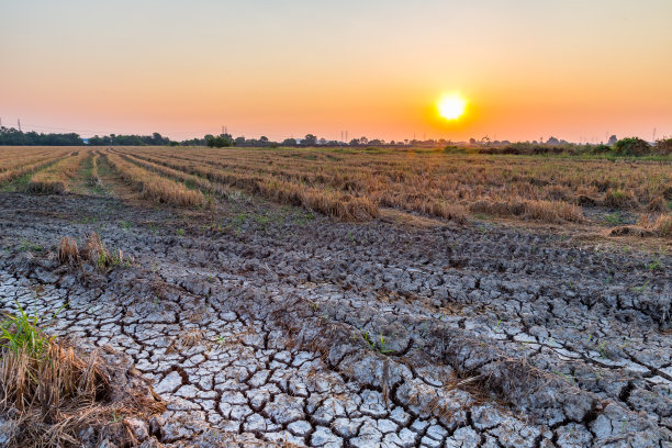 早上好自然图片下载