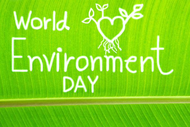 香蕉叶纹理，写世界环境日图片下载