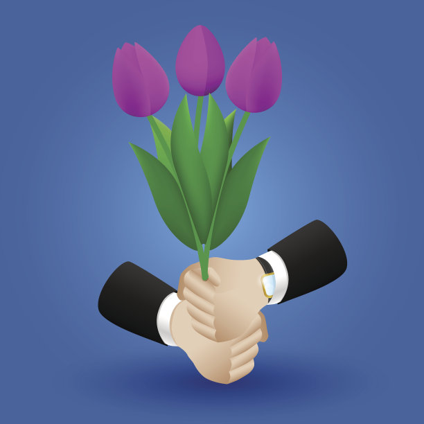 束郁金香图片下载