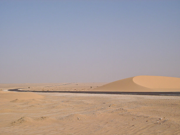 撒哈拉沙漠中的两只斑蝶图片下载