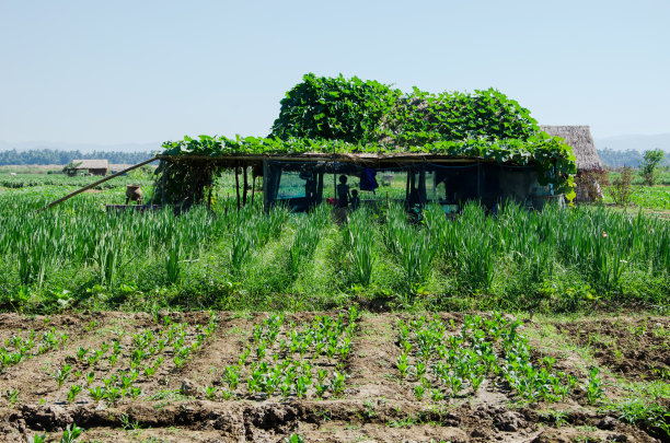 农民的房子图片下载