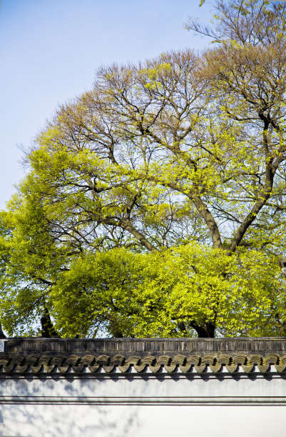 中国苏州，拙政园图片下载