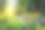 夏季公园与花坛素材图片