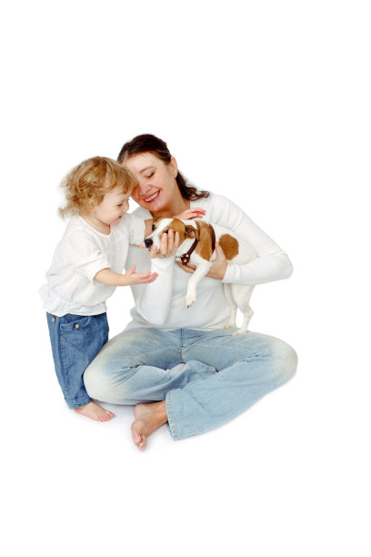 奶奶给狗宝宝看图片下载