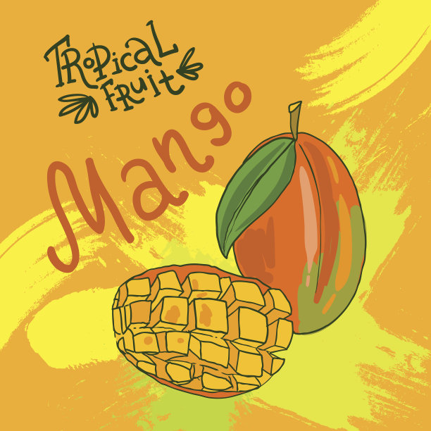 手drwan矢量水果图片下载