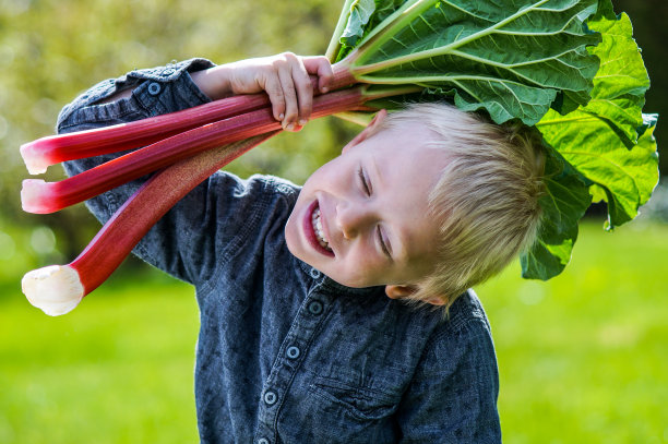孩子和大黄图片下载