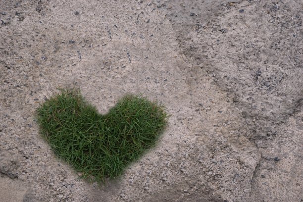 混凝土地板上的草呈心形图片下载