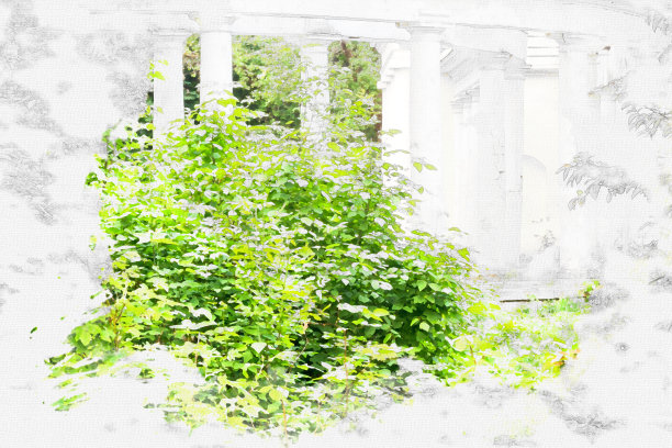 美丽的画廊从柱廊公园。图片下载