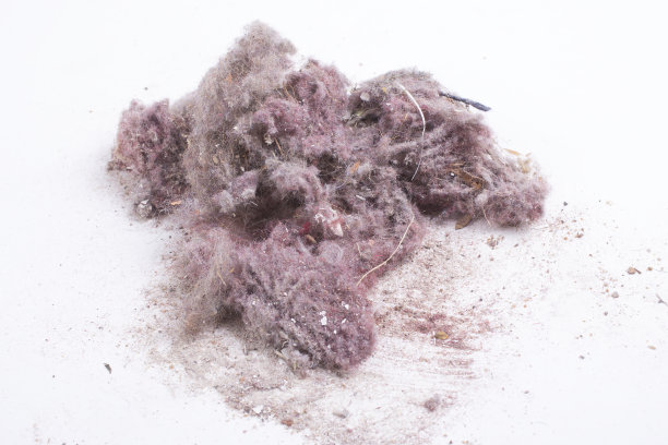 房子尘埃图片下载