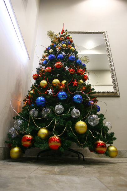 一棵完整的圣诞树图片下载